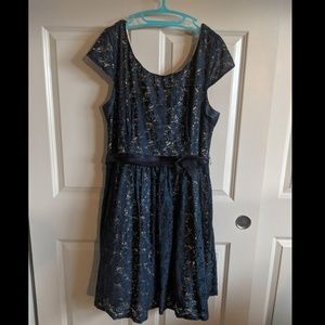 Plus Size Blue Lace Dress